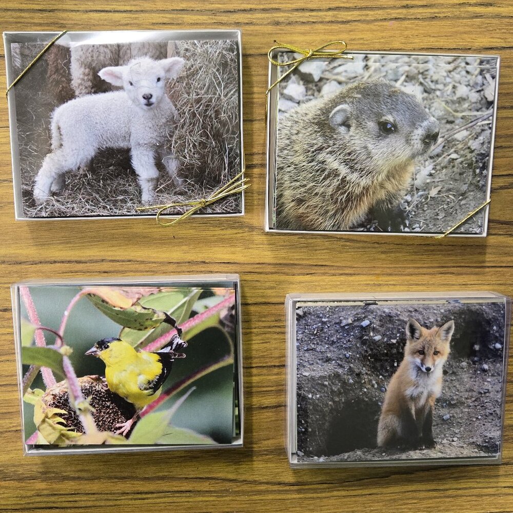 Four Boxes of Blank Notecards with Wildlife (12 to a box, 48 cards total)
